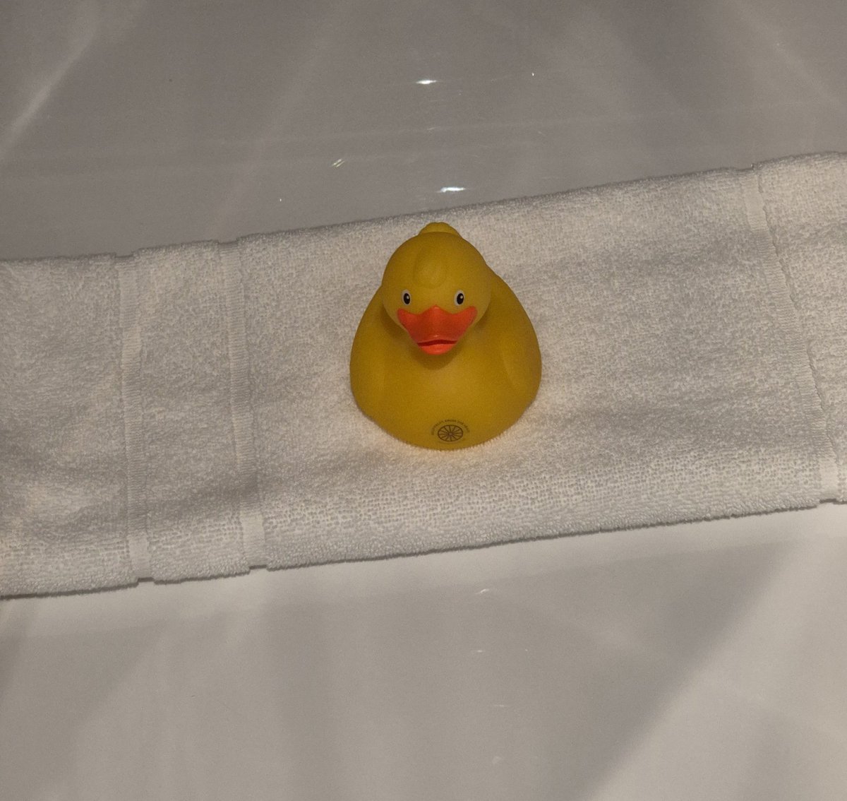 Musicmoggie tweet media