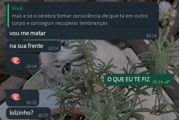 ackrmntea's tweet photo. eu e ela/o nos nossos dias menos "sapekas" 🫦🔥 https://t.co/FqSvCQ2S8P