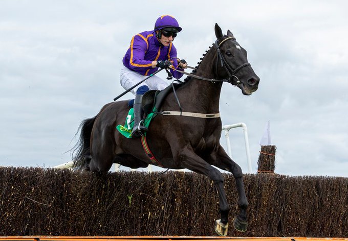 🏇 EASY GAME made his debut in a France bumper at Fontainebleau in October 2017.

Nearly seven years later, he has been entered in a 1m6f flat race at Killarney at the grand age of 10.