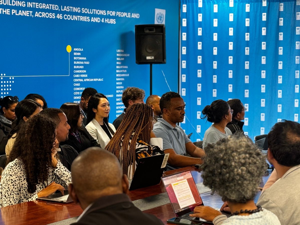 UNDP Africa tweet media