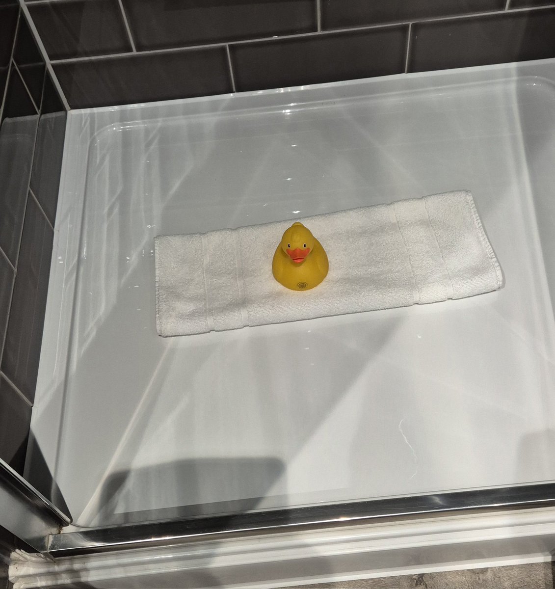 Musicmoggie tweet media