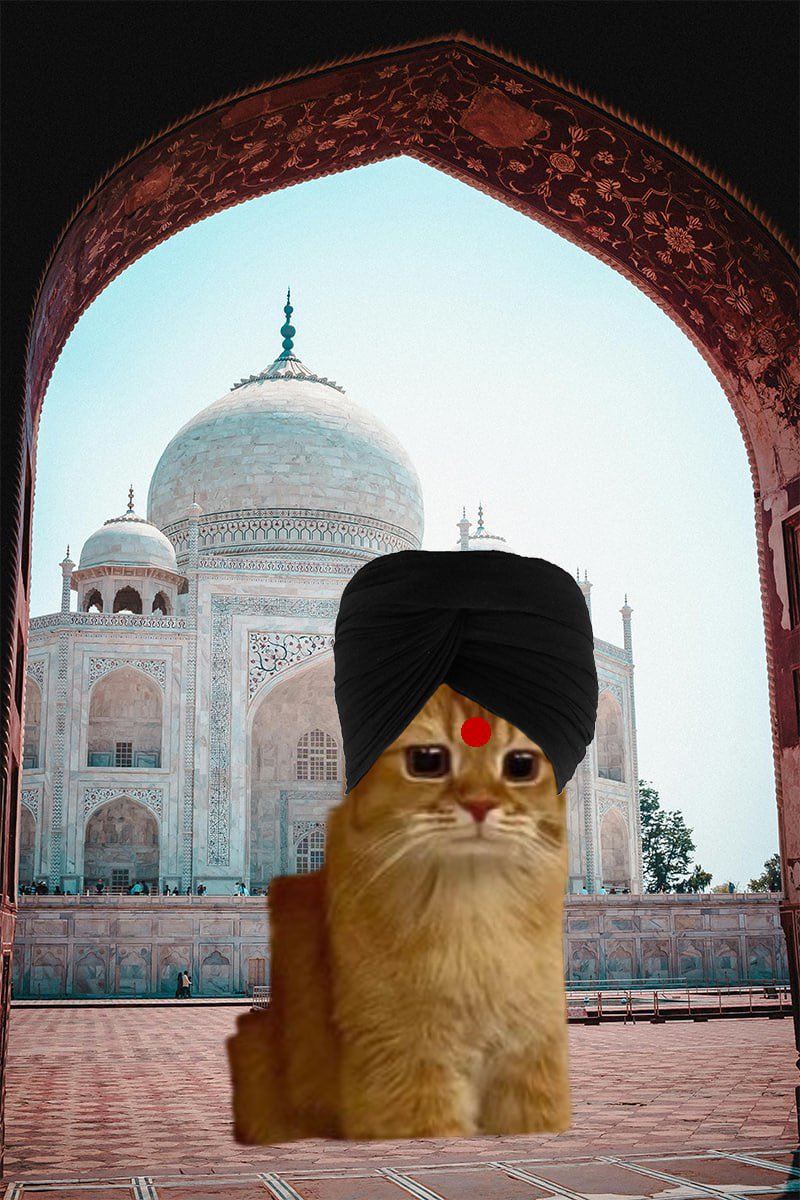 dooble bob tweet media