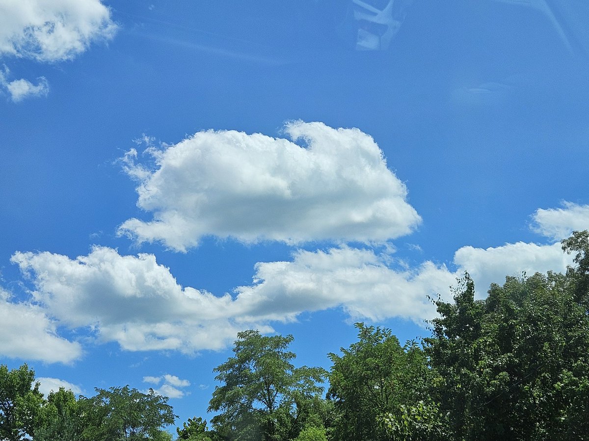 Schwifty tweet media