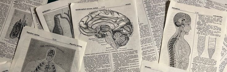 ⠀  ⠀ ⠀ ⠀⠀  ⠀ 
⠀  ⠀  ⠀  ⠀  ⠀「 DOTTORE 」
⠀