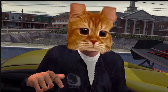 dooble bob tweet media