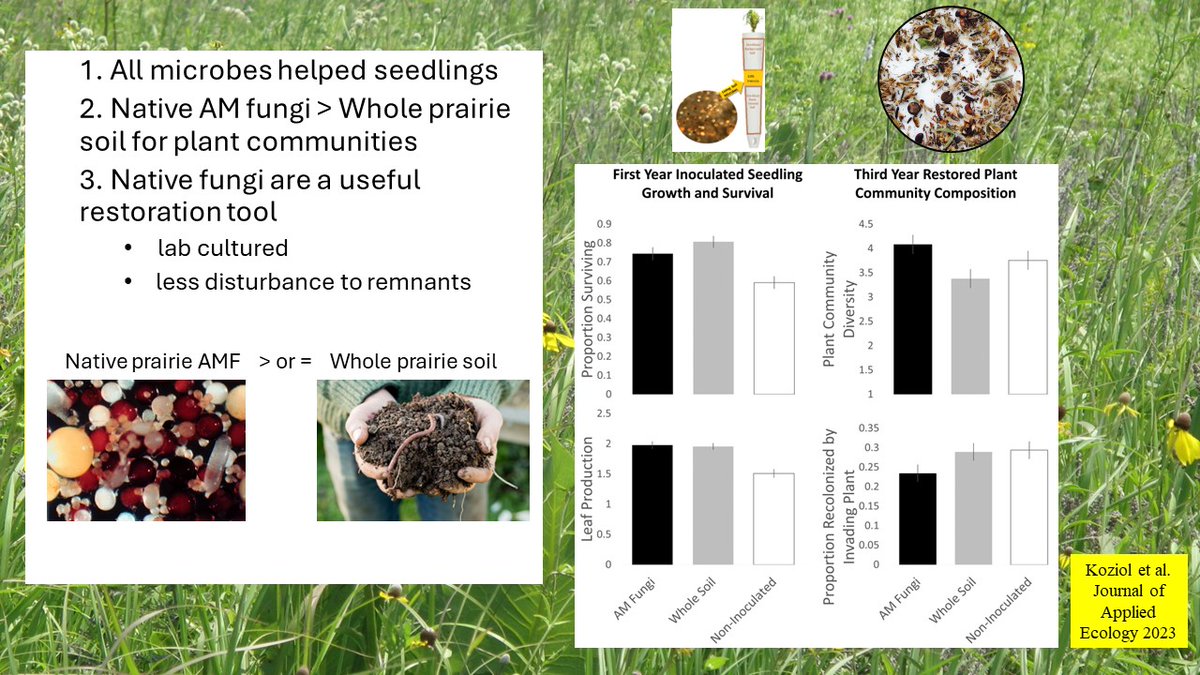 Liz Koziol tweet media
