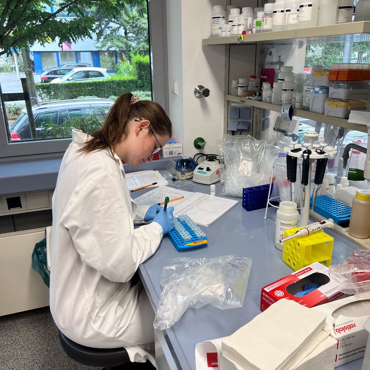 Seth Bordenstein (@symbionticism) on Twitter photo Nobody does it like <a href="/PSUmBiome/">One Health Microbiome Center</a> and <a href="/QIAGEN/">QIAGEN</a> 🦠
Graduate student interns are now at QIAGEN R&D headquarters in Germany. Make us proud <a href="/JamieSpychalla/">Jamie Spychalla</a> <a href="/Ashley0hstrom/">Ashley Ohstrom</a>! Nobody does it like <a href="/PSUmBiome/">One Health Microbiome Center</a> and <a href="/QIAGEN/">QIAGEN</a> 🦠
Graduate student interns are now at QIAGEN R&D headquarters in Germany. Make us proud <a href="/JamieSpychalla/">Jamie Spychalla</a> <a href="/Ashley0hstrom/">Ashley Ohstrom</a>!