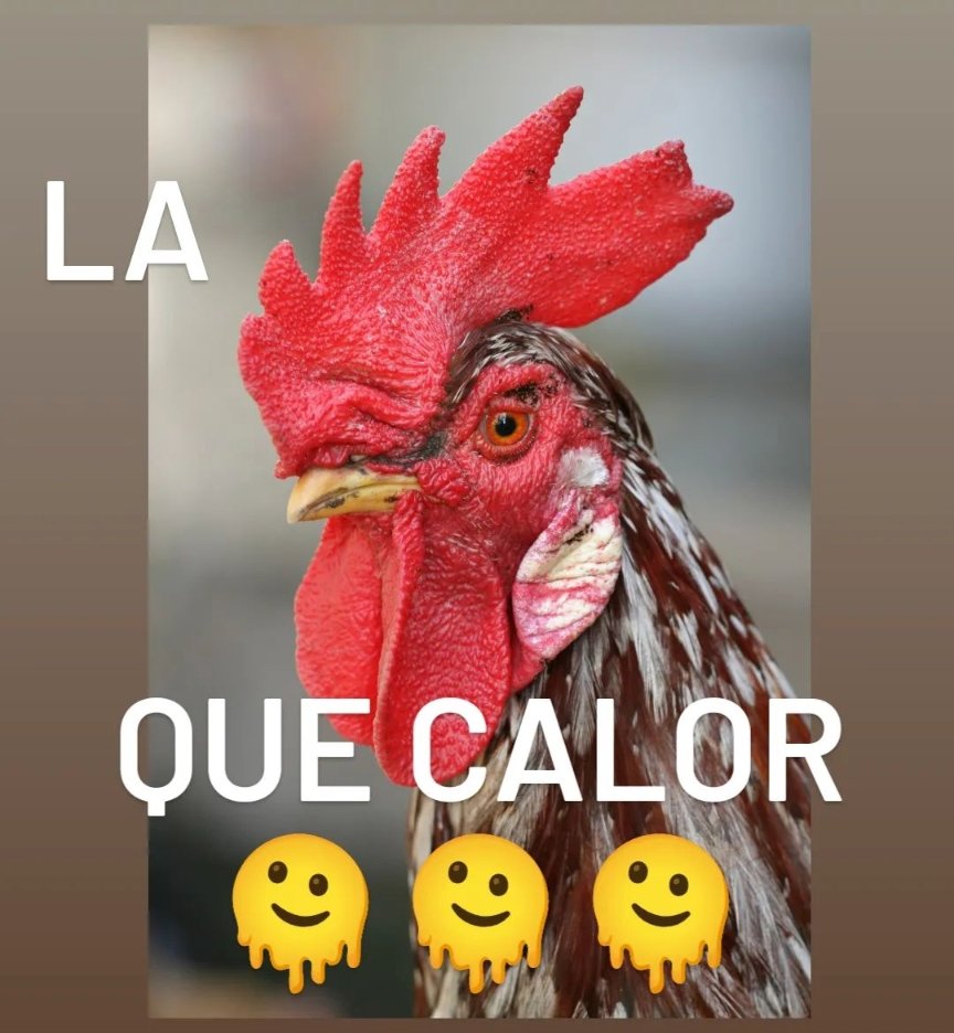 Good luck Carlos (@carloscubilete) on Twitter photo 