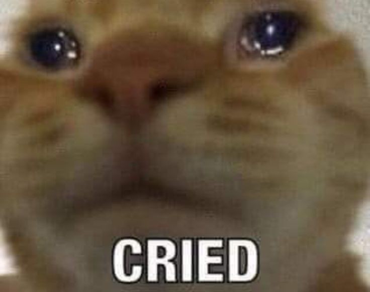 tinemints's tweet photo. "I wanna be gay and happy, man. I wanna be gay with a fiancé. I WANNA BE GAY MARRIED WITH MY FUCKING HUSBAND IN MY CASTLE. So if that means I need to bring HIS FUDGING GRANPA back from  THE DEATH with a fudging deal with the devil I'LL DO IT"

Gyus.......... https://t.co/J5OAHlAnfV