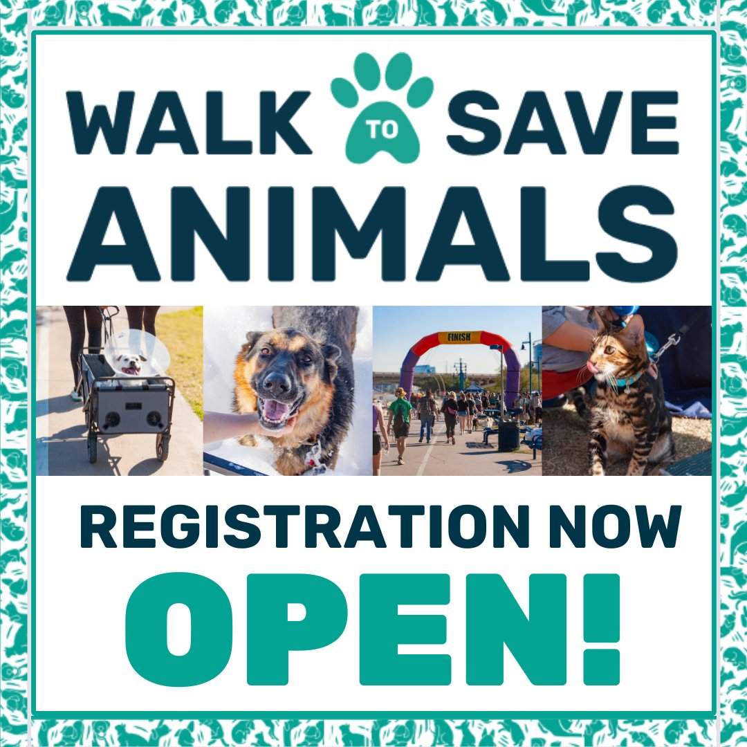 Join us for 26th Annual Walk to Save Animals on Nov. 2 at Tempe Town Lake! You won’t want to miss out on a day of fun including a puppy tailgate, lure course, meeting Santa, delicious food, and so much more. Learn more at links.aawl.org/WTSA2024