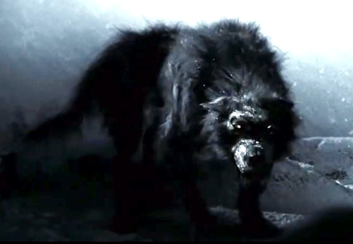 FictionalWolves's tweet image. Wolf (300)