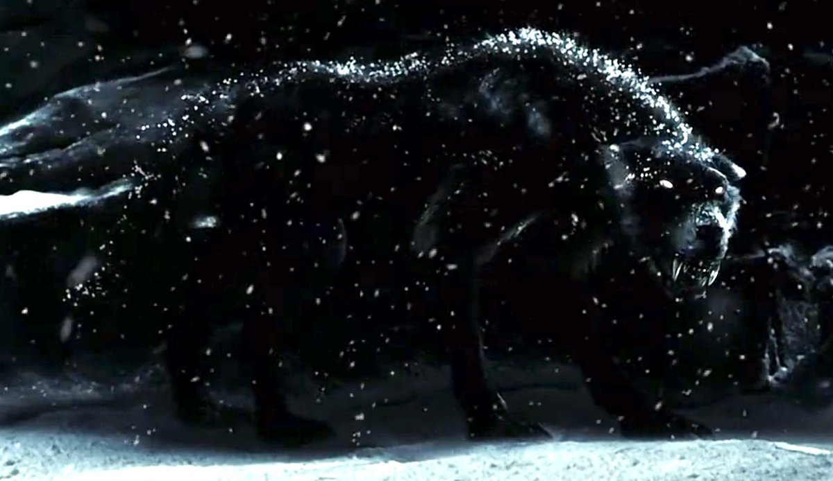 FictionalWolves's tweet image. Wolf (300)