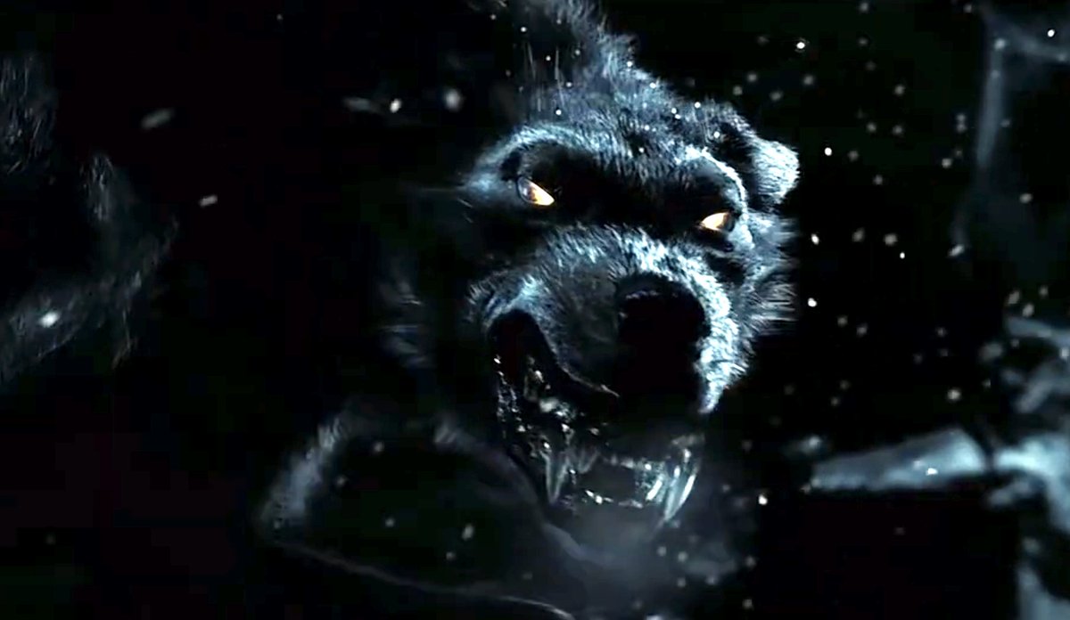 FictionalWolves's tweet image. Wolf (300)