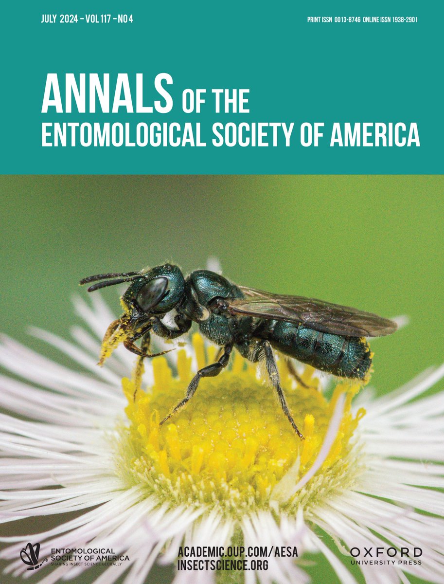 I'm excited to share our new study:

Bee monitoring by community scientists: comparing a collections-based program with iNaturalist

Published in Annals of the Entomological Society of America.

And look, my photo of a small carpenter bee on the cover! 
academic.oup.com/aesa/advance-a…