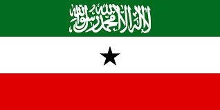 AfarWatch's tweet photo. In case you need a confirmation, I am an ally of our Somaliland brothers and sisters. I’ll promote their efforts and advocate their rights to independence &amp; self-determination through dialogue, sharing knowledge and information and use my platform to foster relations with #Afar https://t.co/Yp6uuwXwDM