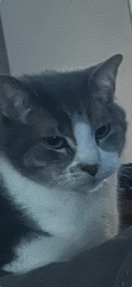 Regular Sized Rita tweet media