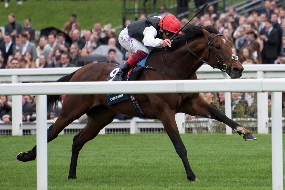FrankelWatch13's tweet photo. Frankel 2 year-olds in training with John Gosden
1. QUEEN OF THIEVES
2. SO DAR LICIOUS
3. STAR OF LIGHT
4. DAMYSUS
5. PANTILE WARRIOR
6. GLISTENING
7. ASHMOLEAN
8. SAND GAZELLE
9. SUBSIDENCE
10. BYBLOS
11. ALTAREQ
12. WARRANT HOLDER
13. ERNST BOMFELD
14. o/o ROODLE https://t.co/4SfxeaI9b9