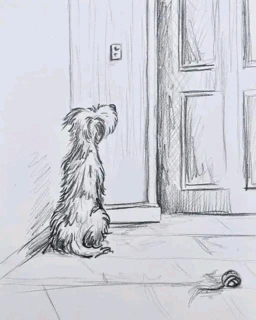 Este es el único ser que nunca se cansara de esperarte!