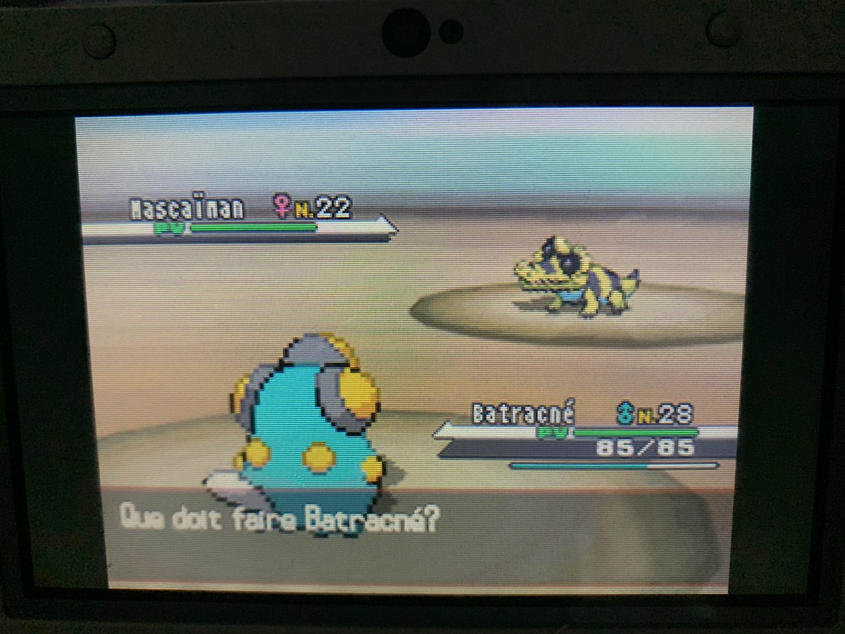 [65✨] La grosse moula mon gaaars 
516 rencontres seulement pour ce mascaiman apres la giga shasse precedente Go phase 2 pour tutafeh