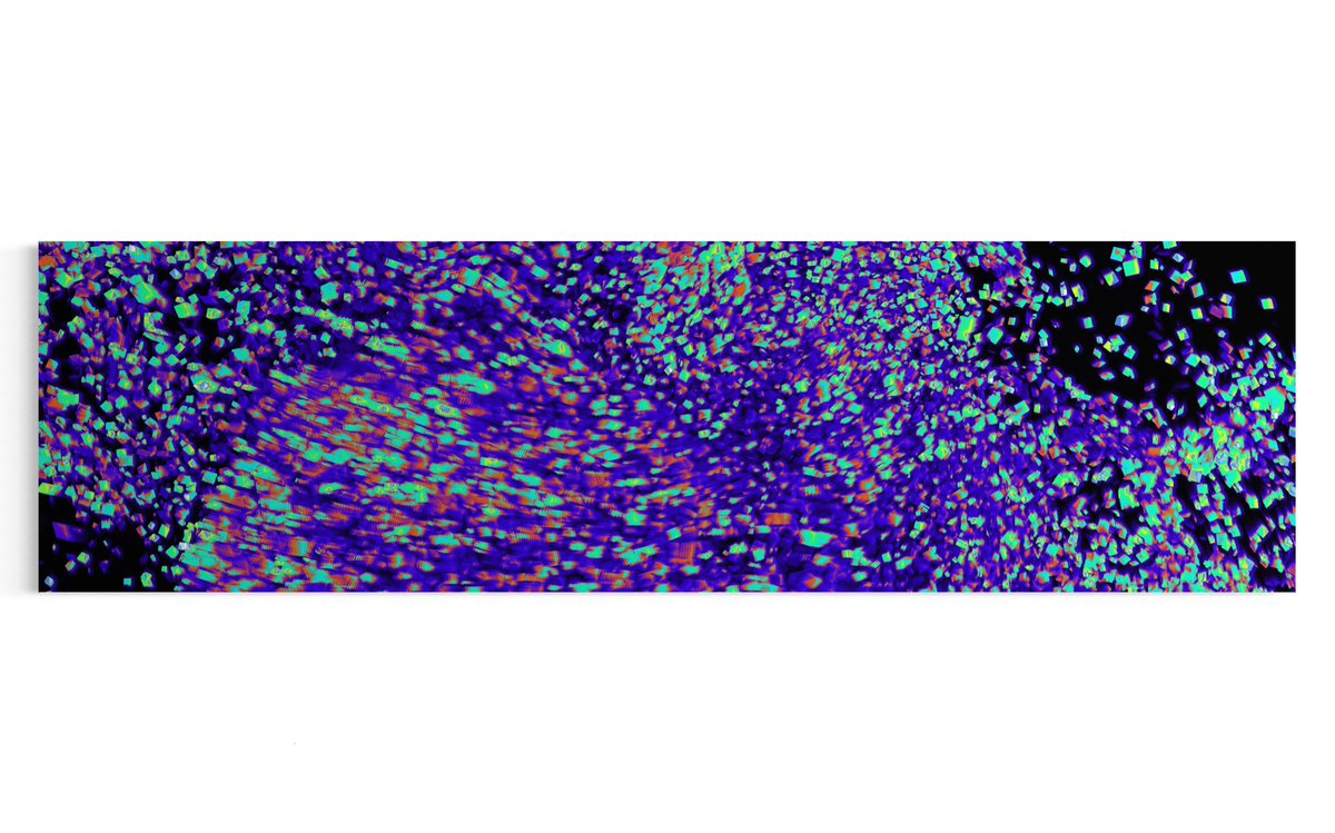 videogeist's tweet photo. Generative Digital Art Work 2024
Philipp Geist
LED Lightframe / Leuchtrahmen/ Alu Dibond
Fine Art Print
#philippgeist #videogeist #visualart #lightart #Color #painting #code #codeart #fineartprint #lightbox #Berlin #lichtenberg #generative #morphing #motion #colormelt #artsy https://t.co/RkaZwQJXzL