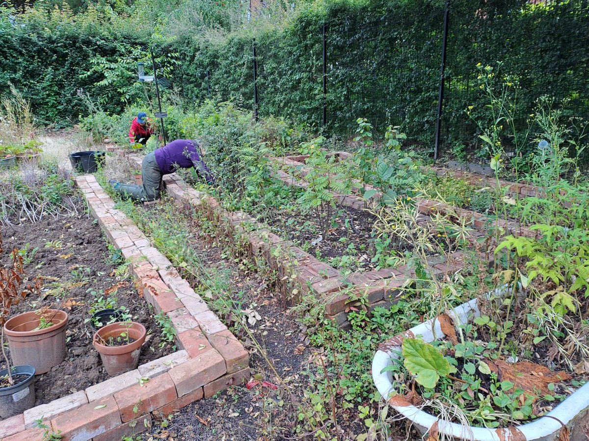 HealthySpacesWC's tweet image. 🌳Walsall&apos;s Community Tree Nursey 🐝

👏It was all looking a little overgrown this morning, but thanks to the dedication of Walsall&apos;s Tree Wardens the tree beds at Walsall&apos;s Community Tree Nursery are once again looking good.🤩

#Walsall #TreeWardens