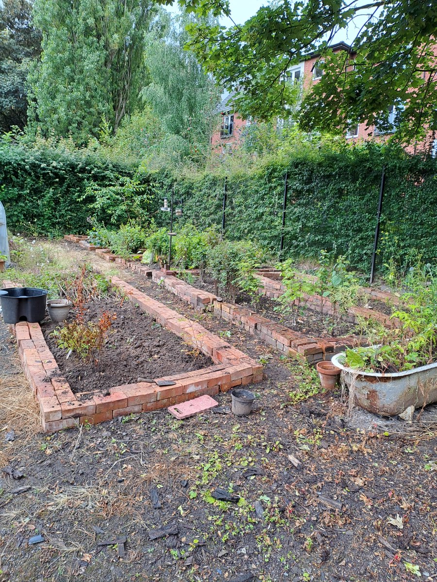 HealthySpacesWC's tweet image. 🌳Walsall&apos;s Community Tree Nursey 🐝

👏It was all looking a little overgrown this morning, but thanks to the dedication of Walsall&apos;s Tree Wardens the tree beds at Walsall&apos;s Community Tree Nursery are once again looking good.🤩

#Walsall #TreeWardens