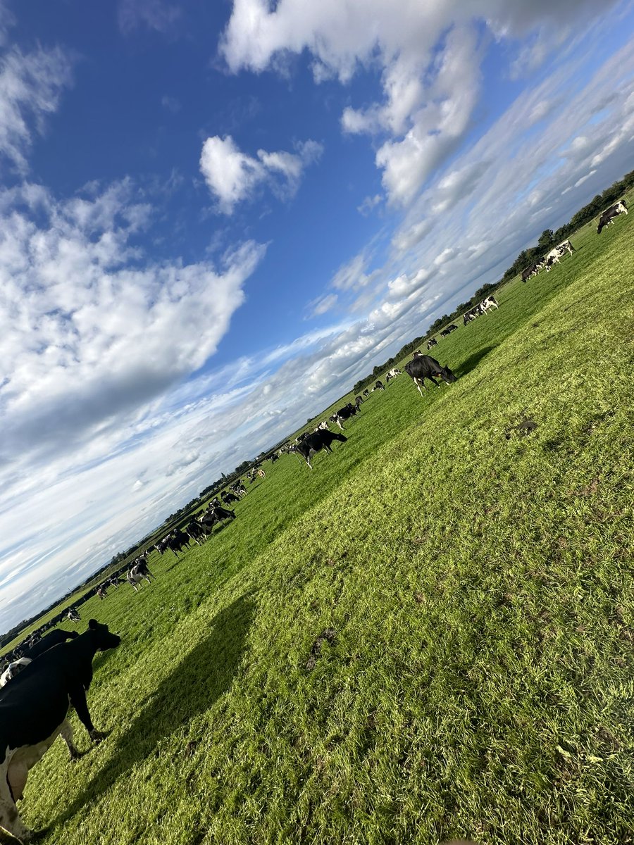 Adam Whyte tweet media