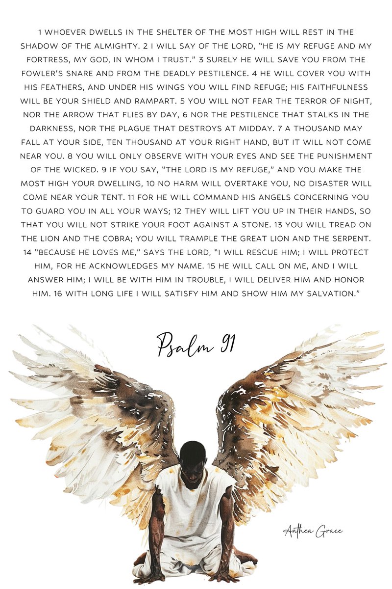 Anthea Grace tweet media