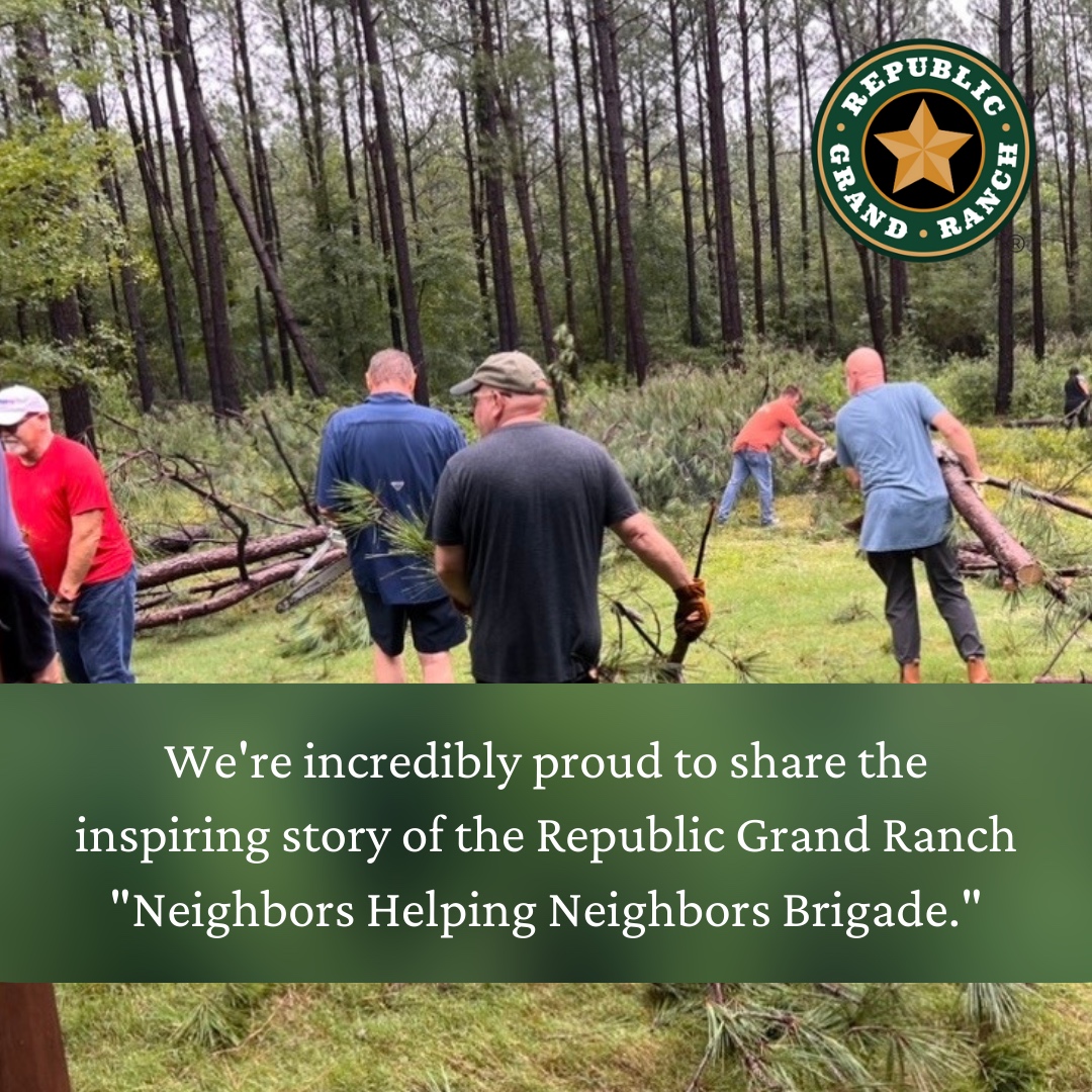 PattenCo's tweet image. We hope everyone is doing well out there.

A heartfelt thank you to everyone who selflessly stepped up for your neighbors. Your actions truly embody the spirit of community and resilience, and remind us that sometimes the greatest storms bring out the greatest beauty.

#Patten...