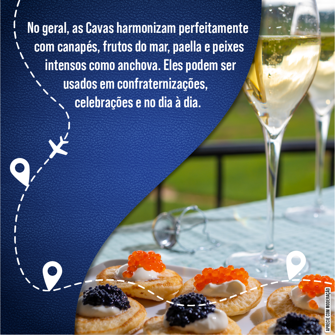 Aproveite o Dia Mundial do Cava  para degustar um dos melhores espumantes do mundo e elevar a sua experiência sensorial. Venha até nossa loja, ou acesse o nosso e-commerce, e descubra a seleção exclusiva que preparamos para você. Saúde e brindemos juntos! 🥂