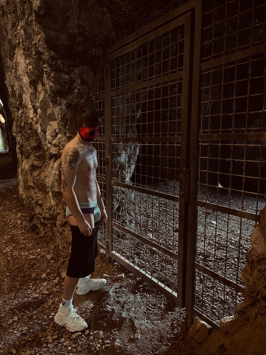 Pup_Nico_'s tweet photo. Chi viene a farsi un giro nella caverna con me? 🐶 https://t.co/WoUnTIYVg1