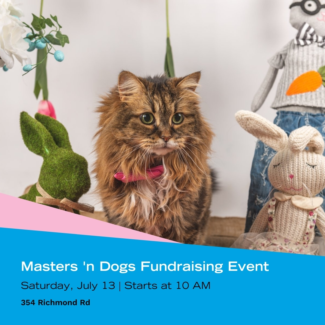 📢Here is What’s Happening in #WestboroVillage this Weekend!

Get ready to have a blast!