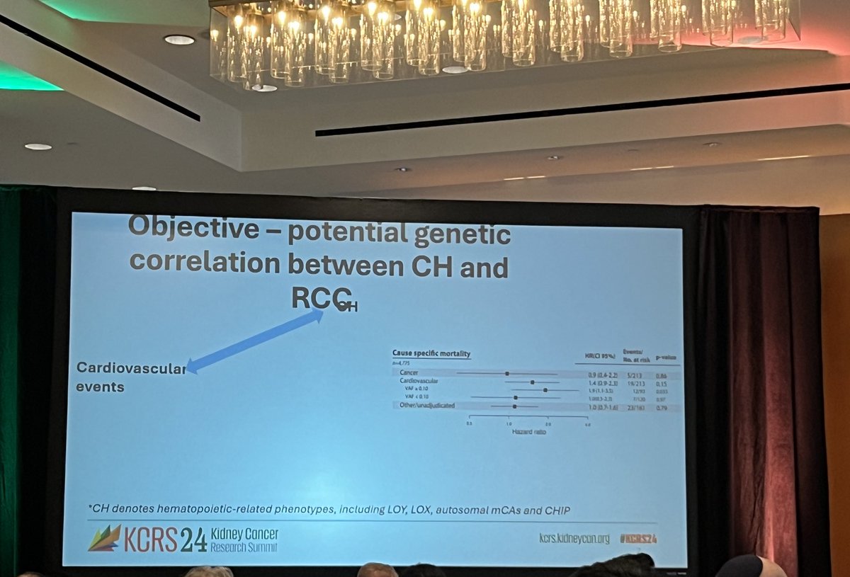 Emre Yekedüz tweet media
