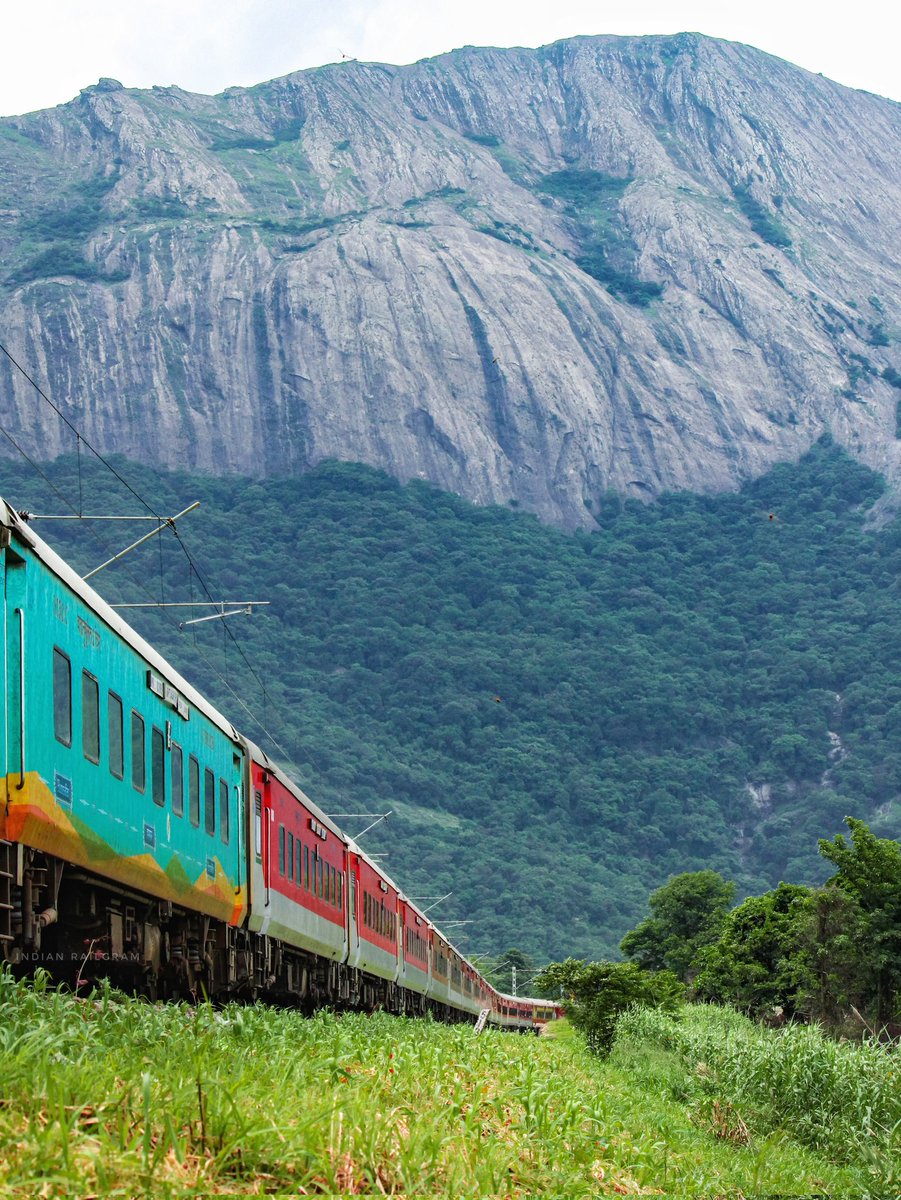 Monsoon hues as the train winds through the lush Western Ghats towards Walayar, wrapped in nature's embrace. 💚🤩
#indianrailgram #indianrailways #photography  #indianrailway  #trainphotography #trains #palakkad #walayar <a href="/AshwiniVaishnaw/">Ashwini Vaishnaw</a> <a href="/RailMinIndia/">Ministry of Railways</a> <a href="/GMSRailway/">Southern Railway</a> <a href="/KeralaTourism/">Kerala Tourism</a>