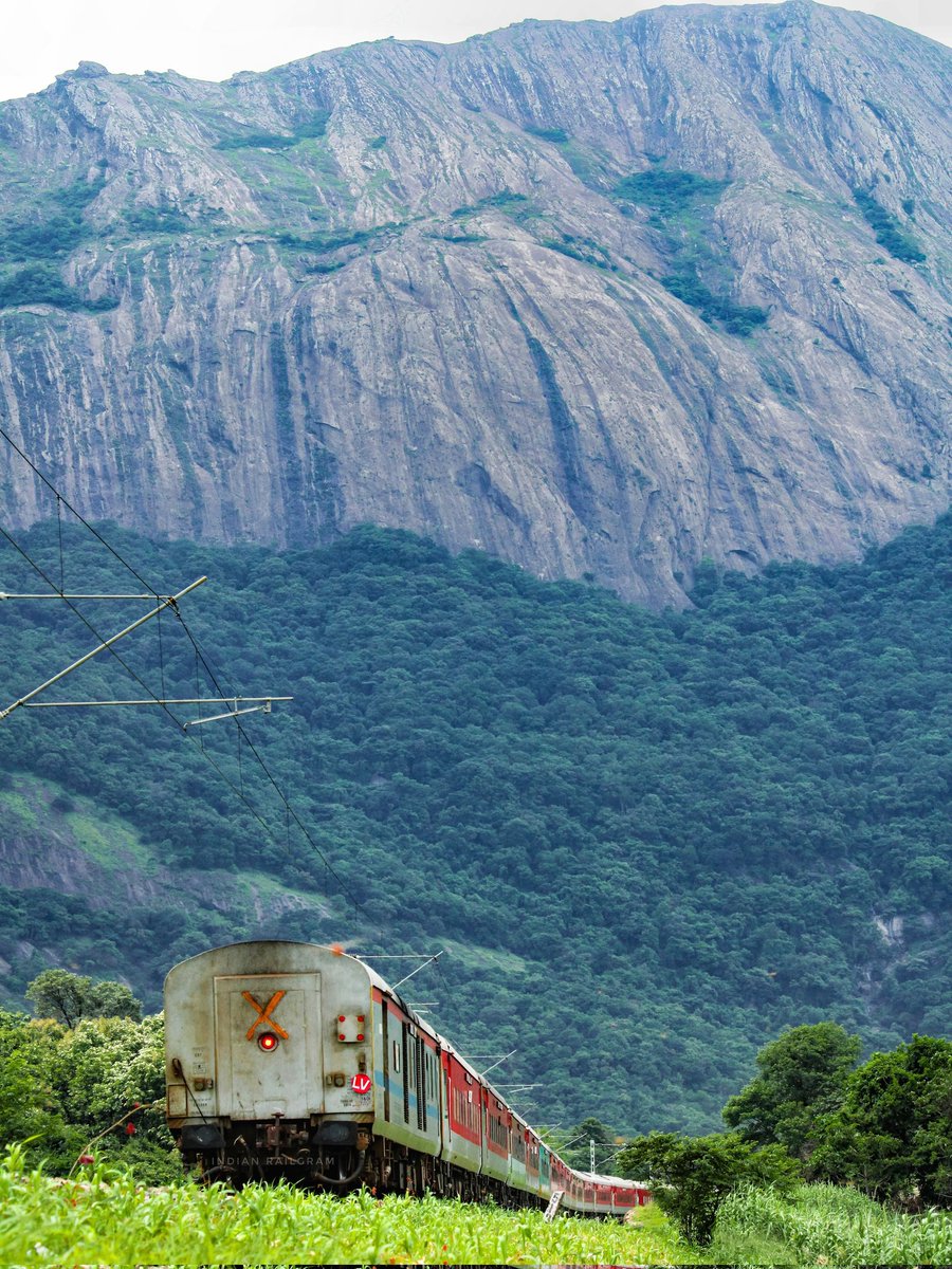Indianrailgram's tweet photo. Monsoon hues as the train winds through the lush Western Ghats towards Walayar, wrapped in nature's embrace. 💚🤩
#indianrailgram #indianrailways #photography  #indianrailway  #trainphotography #trains #palakkad #walayar @AshwiniVaishnaw @RailMinIndia @GMSRailway @KeralaTourism https://t.co/aGAx5RNB7d