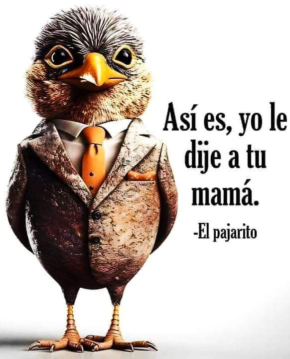 DonMemazos tweet media