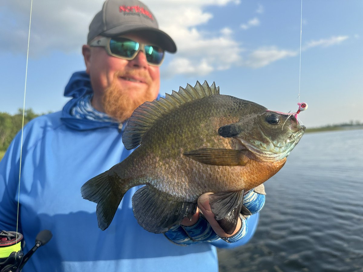brobull's tweet photo. To Beat The Summertime Blues it’s always a blast to Chase & Catch A True All Time Favorite Of Mine “🎣👍😳
Summertime Blue Gills ‘ w/ Northland Fishing Tackle Tungsten Feather Jigs! #fishinglife #fever #keepkool #gofishing https://t.co/Pazw3xGDwS