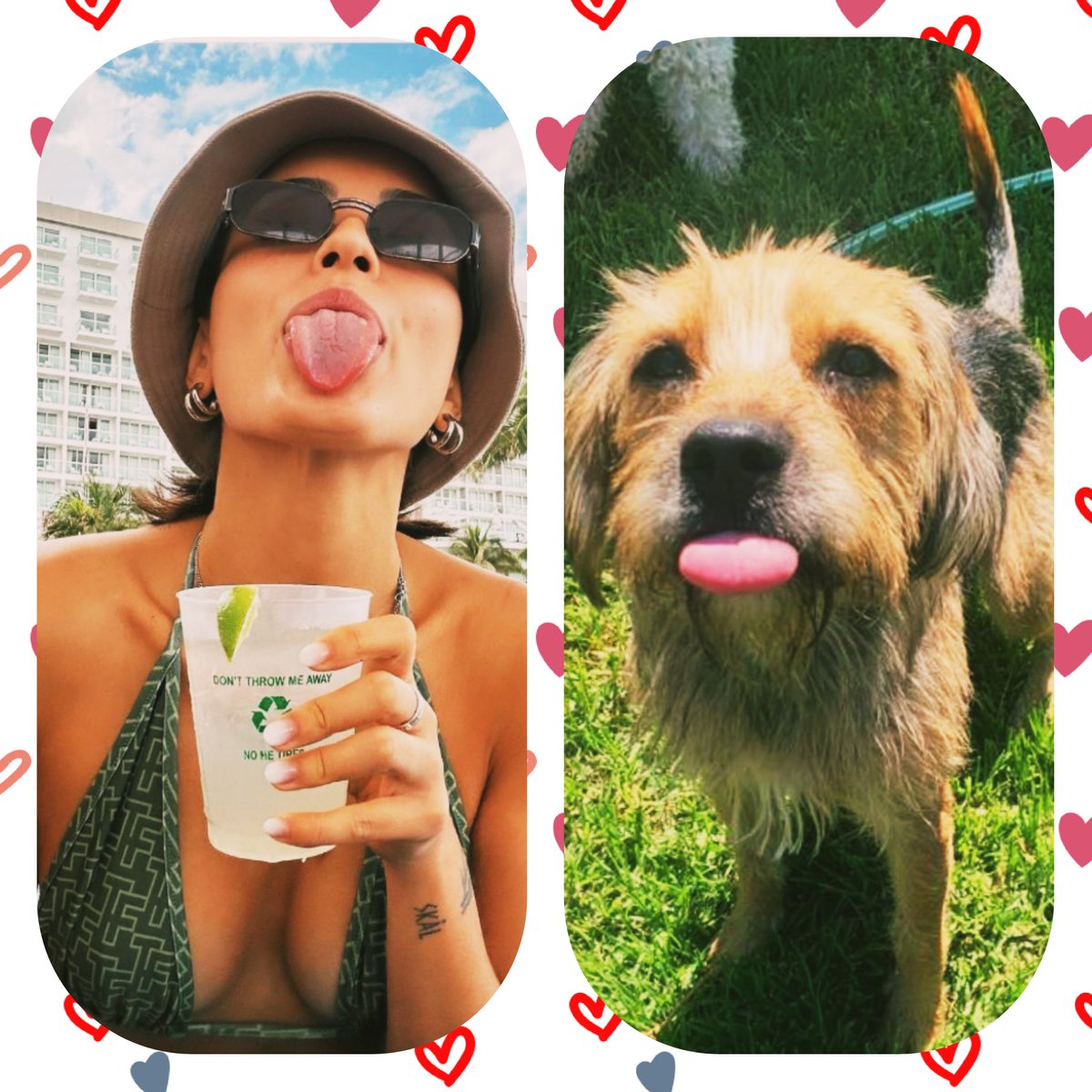 PalyMoon's tweet image. Soporten #fsql que comentan ws 😂😂

YO ESTOY CONTIGO CONY