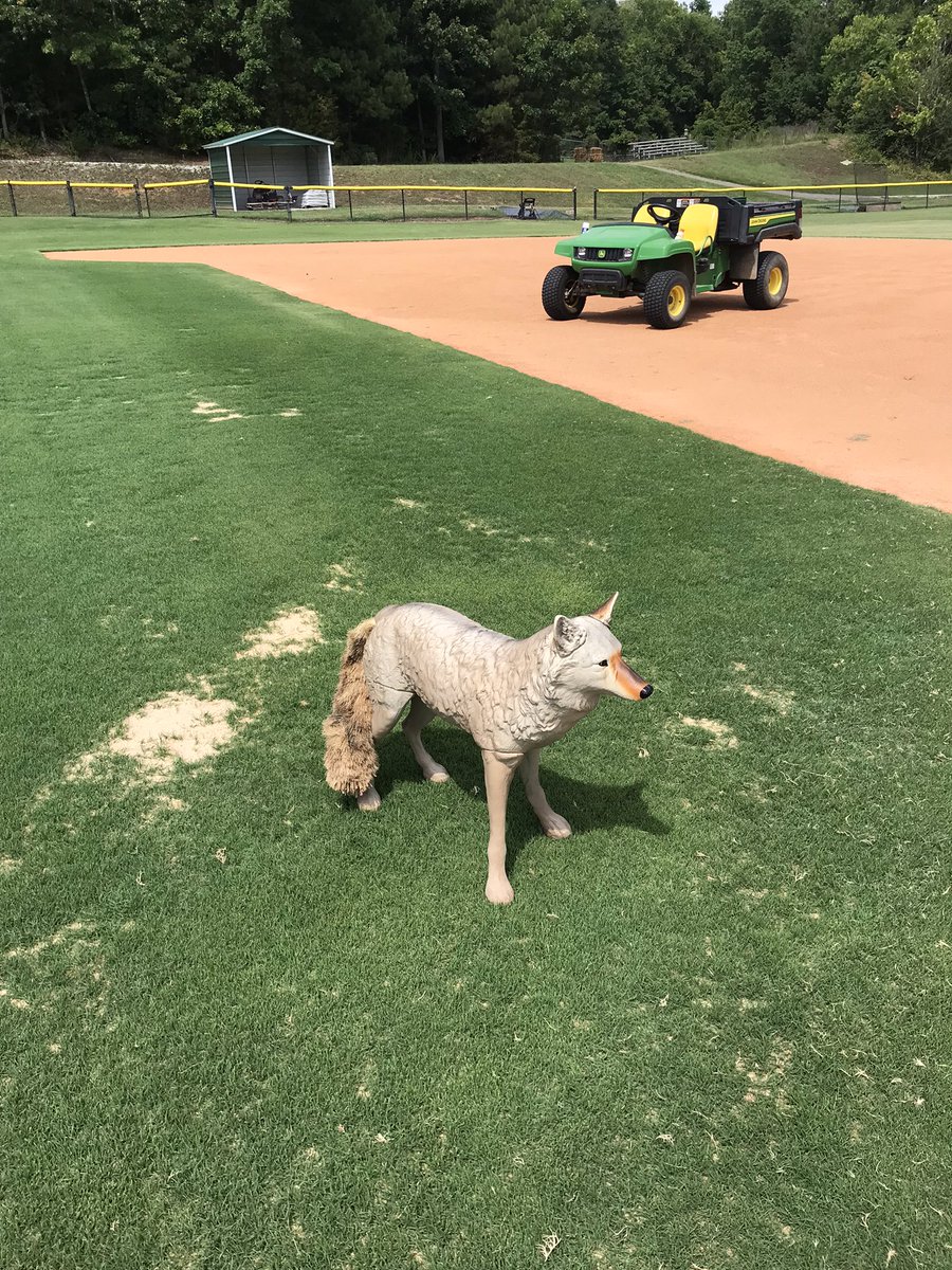 Dean Dease tweet media