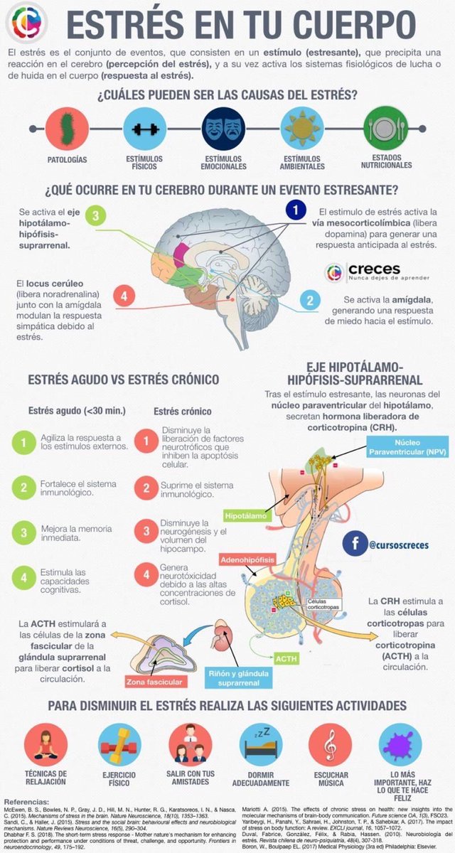 El estrés en tu cuerpo puede aumentar el riesgo de enfermedades cardíacas, diabetes, obesidad, dolores de cabeza, disfunción sexual, caída del cabello y problemas de salud mental como ansiedad y depresión.