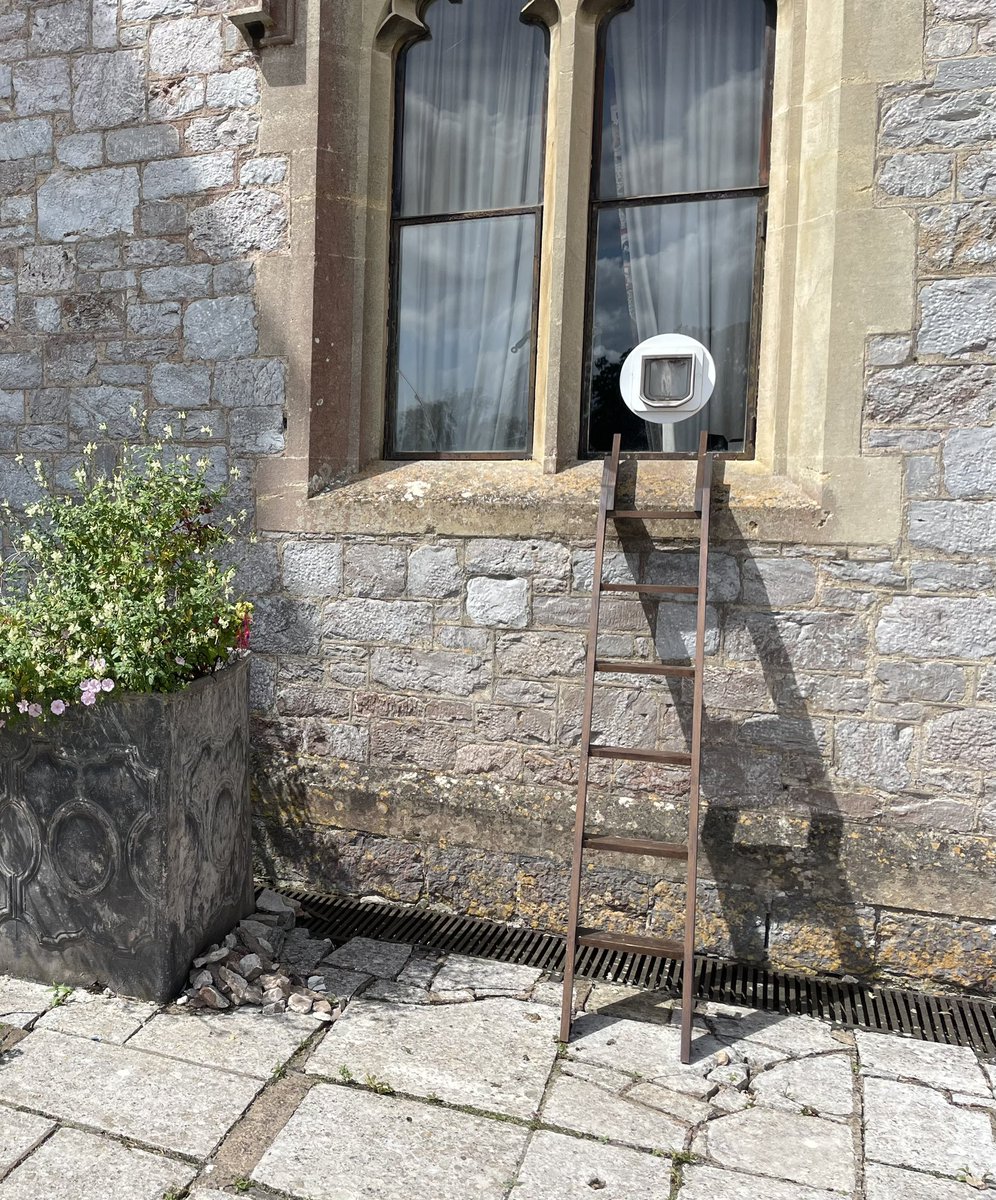 Ariadne Cuxirimay (@ariadncuxirimay) on Twitter photo I’m relieved to see the owners of Powderham Castle take the needs of their cat seriously.
Doesn’t matter the building is centuries old, their moggy shall be able to come and go at its pleasure.
#CatLadder #ItsACatsLife #Devon #CatsOfTwitter #ThursdayThoughts <a href="/powderhamcastle/">Powderham Castle</a> I’m relieved to see the owners of Powderham Castle take the needs of their cat seriously.
Doesn’t matter the building is centuries old, their moggy shall be able to come and go at its pleasure.
#CatLadder #ItsACatsLife #Devon #CatsOfTwitter #ThursdayThoughts <a href="/powderhamcastle/">Powderham Castle</a>