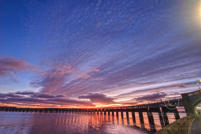 Magdalen Green tweet media