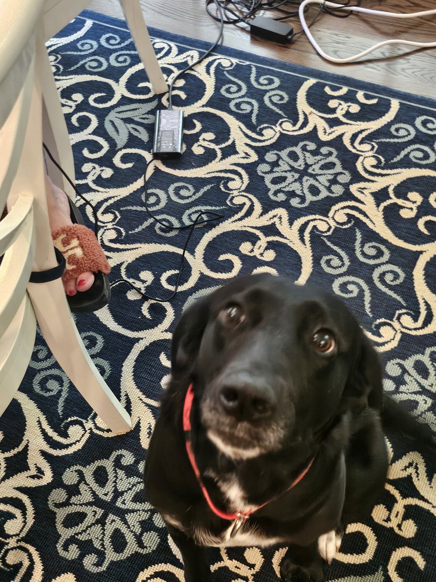 FearTheSkirt ⛳🏌🏻‍♀️🏆👠 🍷🇺🇸💎✝️ tweet media