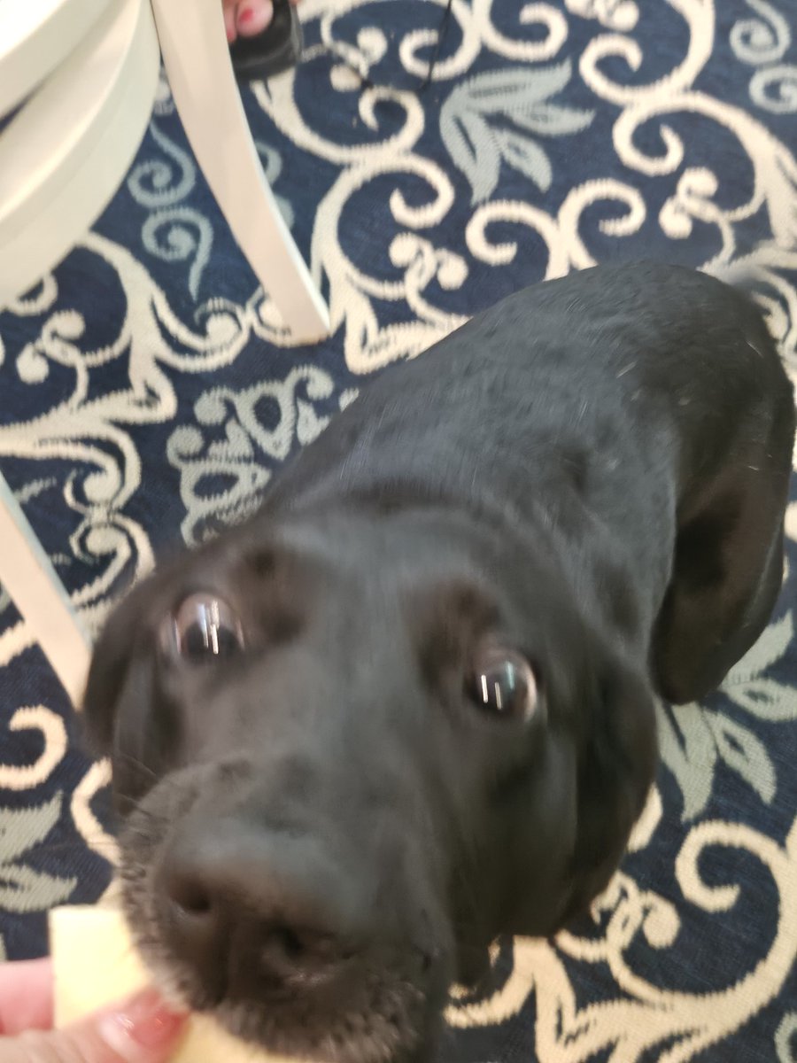 FearTheSkirt ⛳🏌🏻‍♀️🏆👠 🍷🇺🇸💎✝️ tweet media