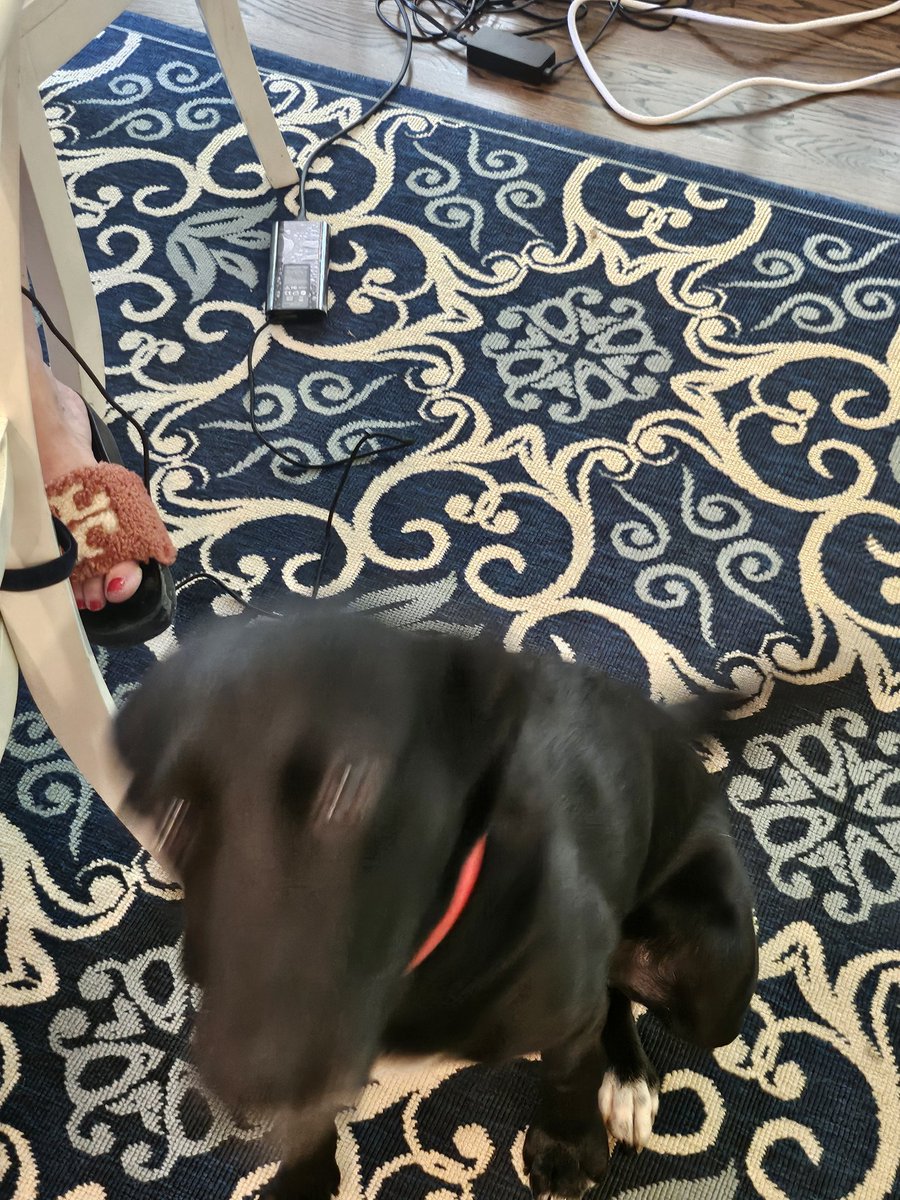 FearTheSkirt ⛳🏌🏻‍♀️🏆👠 🍷🇺🇸💎✝️ tweet media