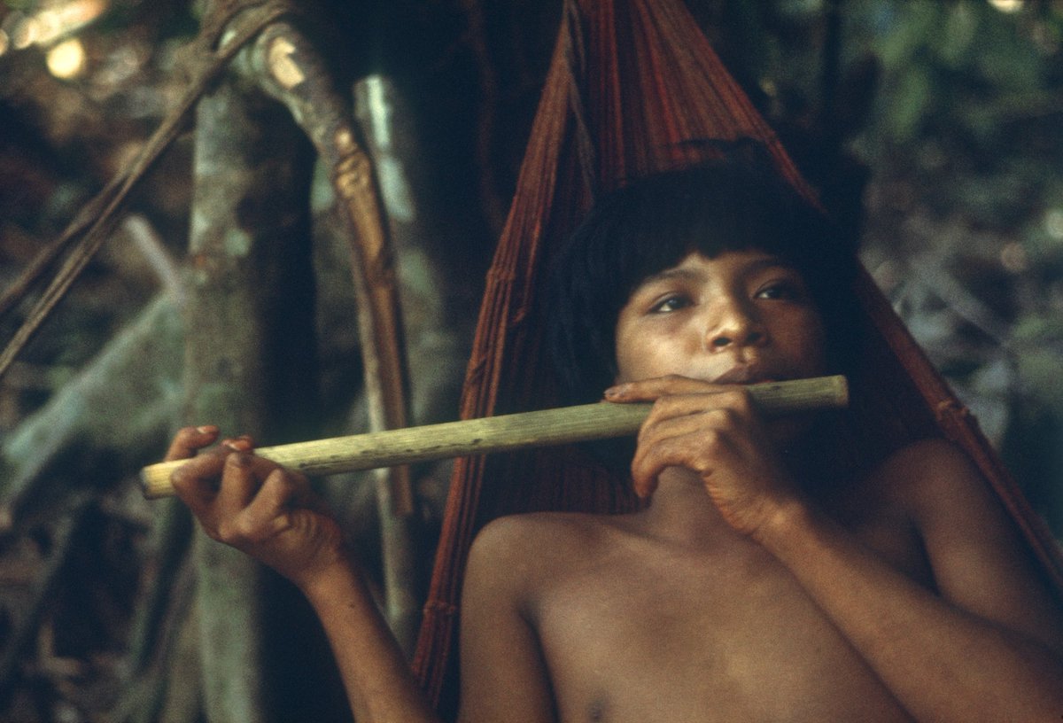 jungle_jack's tweet photo. Young E'ñepa man playing flute in hammock in camp in rainforest (Venezuela). #NFT #NFTphotography #NFTartist https://t.co/i6bnbDA6CW