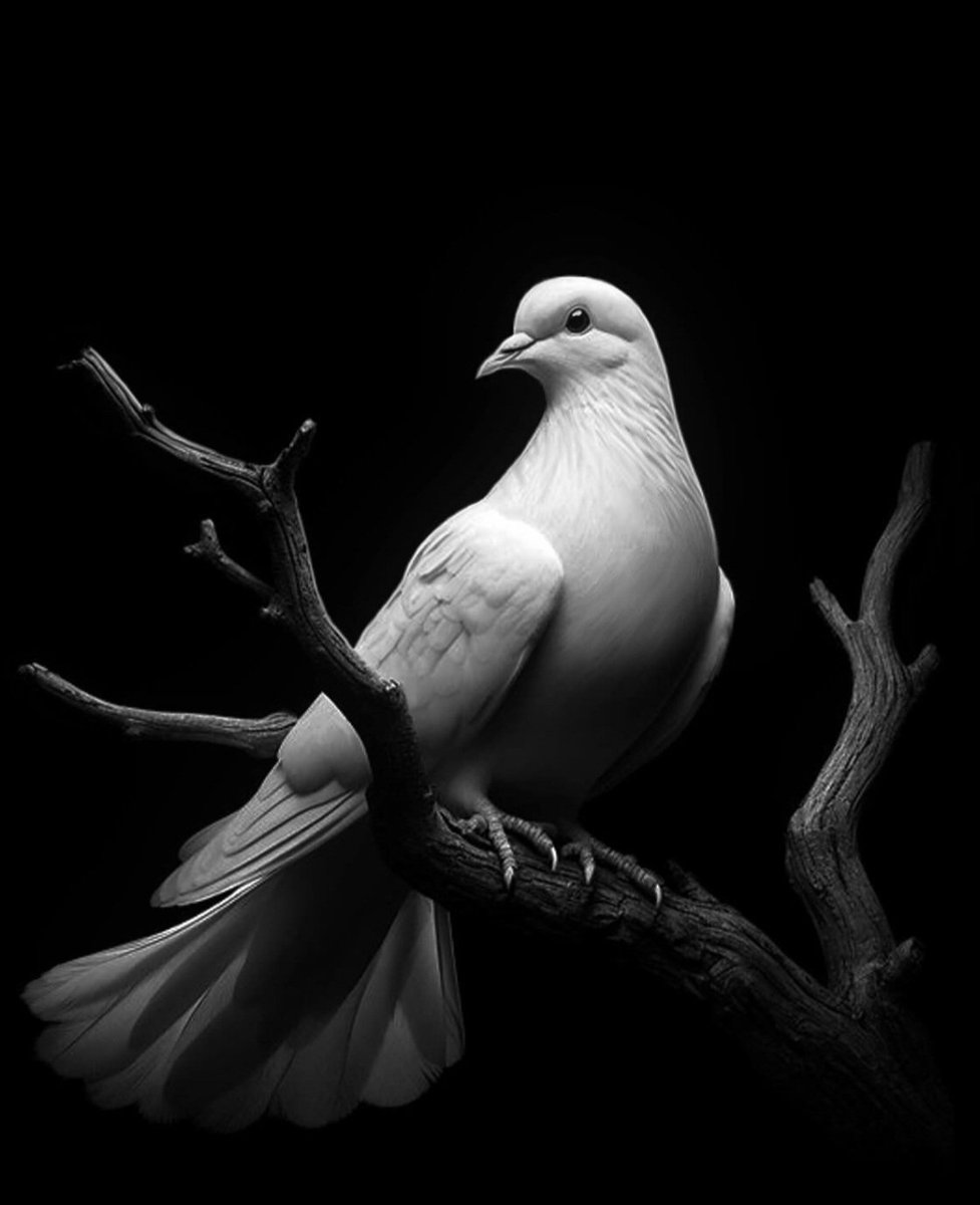 Eeee ne demişlerr,,,
Olmaz bir zerresi mîzanda heder ,,,
Sen sevdiğini #Allah için sev, yeter..!   🕊🕊

#Elhâmdulillah iyiki sevdiklerim 💜💜