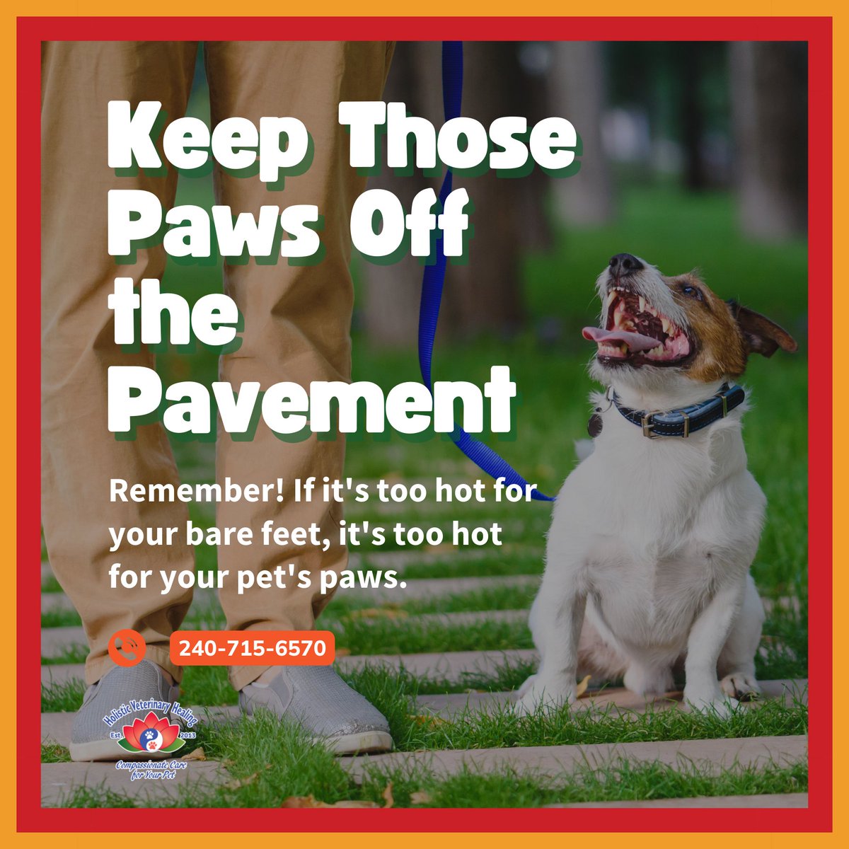 holvethealing's tweet image. 🐾 Keep those paws cool and happy! Asphalt can sizzle in the hot sun, and your furry friends deserve better. Check out our tips for protecting their precious paws from the hot ground. 🌞 #PawProtection