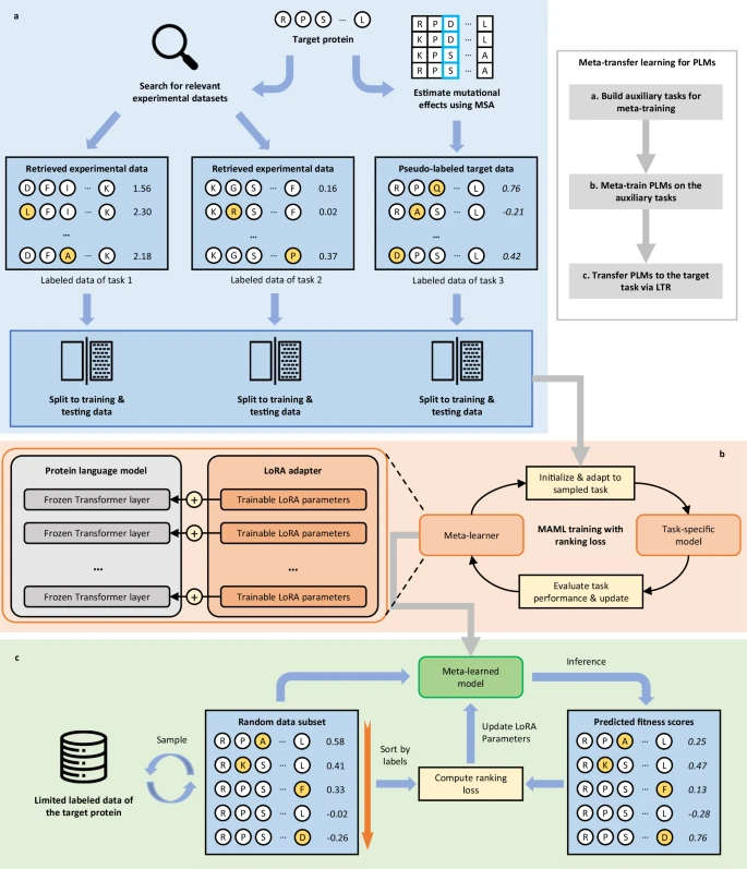 Leo Zang tweet media