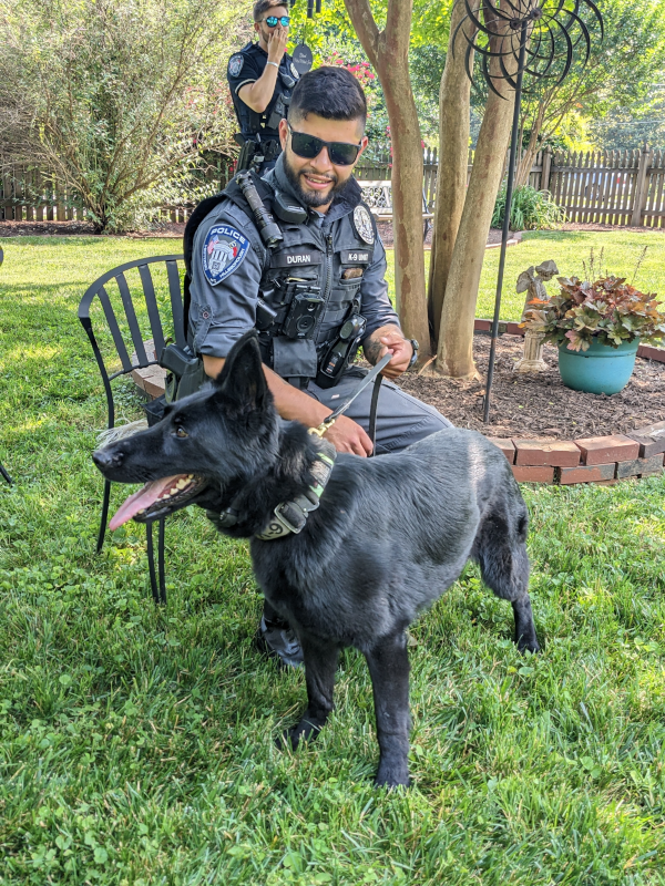 Interested in learning more about our police department? Check out the police pages on our new website to learn more about investigations, patrol,  police community services, training and the canine unit. hillsboroughnc.gov/police